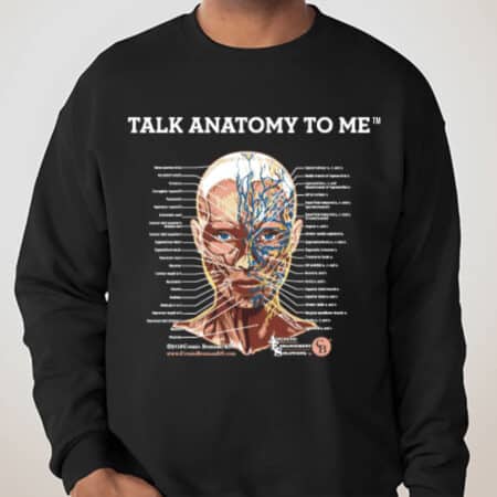 Talk Anatomy to Me Sweater from Connie Brennan