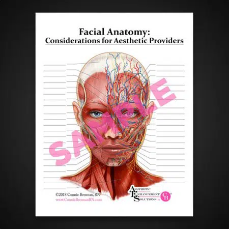 Facial Anatomy Considerations for Aesthetic Providers.